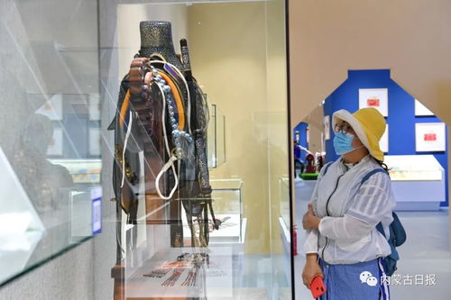 文化藝術(shù)交流展覽盛大開幕，豐富展品展現(xiàn)多元文化交流成果